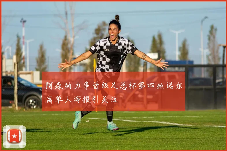 阿森纳力争晋级足总杯第四轮诺尔高单人海报引关注