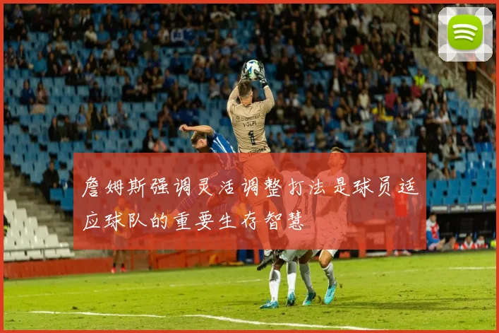 詹姆斯强调灵活调整打法是球员适应球队的重要生存智慧