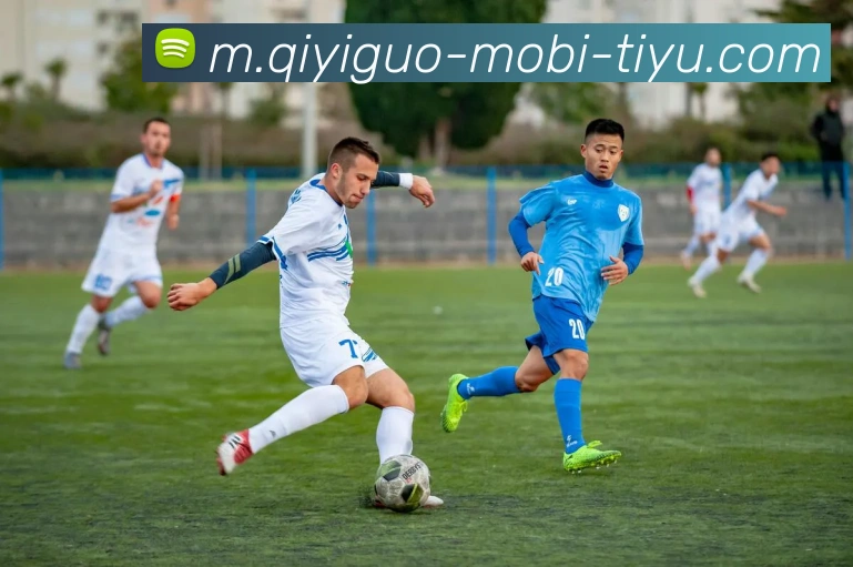 数据防护可视化